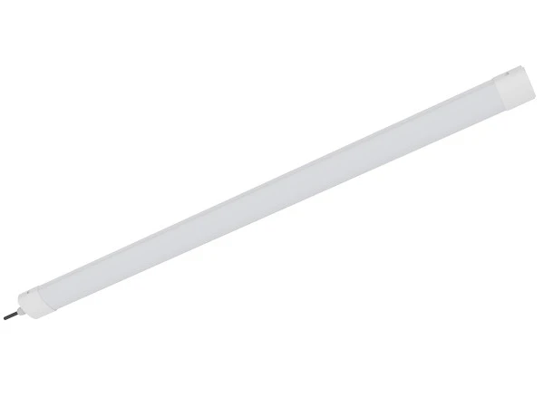 Eco Version D2.5 LED Triproof Light